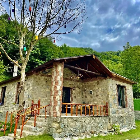 Sapancanaturalhouse2