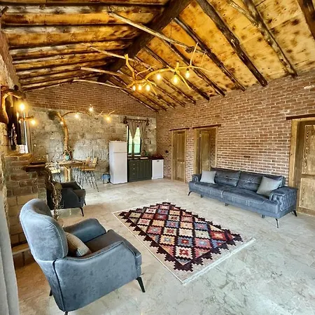 Sapancanaturalhouse2 * سبانجا