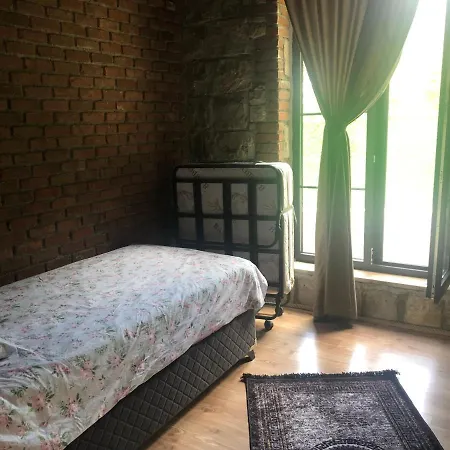 Sapancanaturalhouse2