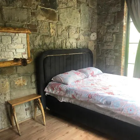 Sapancanaturalhouse2 فيلة سبانجا