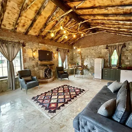 Sapancanaturalhouse2 *