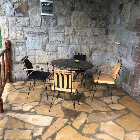 فيلة Sapancanaturalhouse2 سبانجا